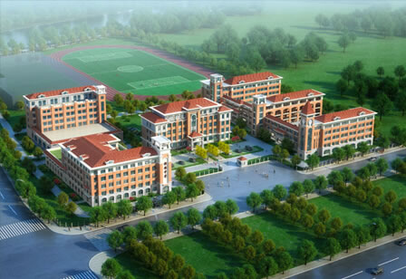 測試的案例信息，測試的案例信息